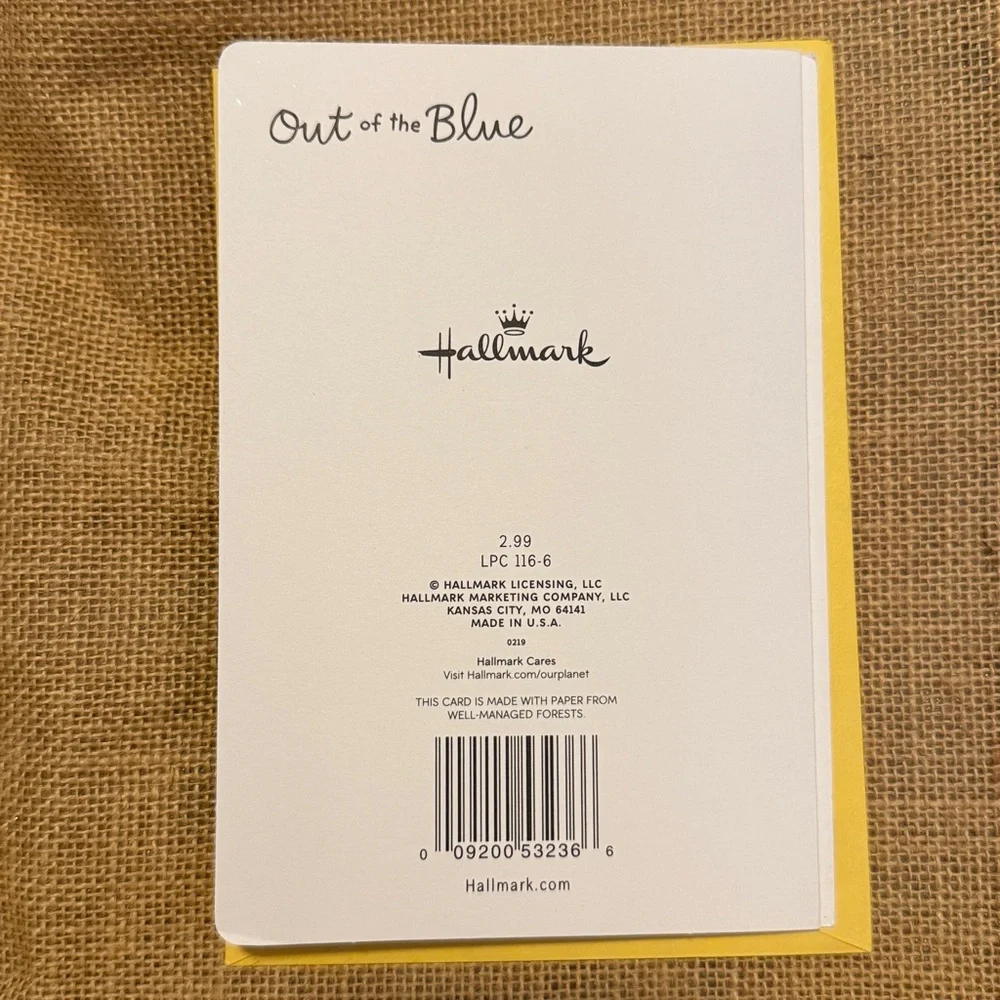 🌻 Bundle of 2 Hallmark Good Luck Cards
